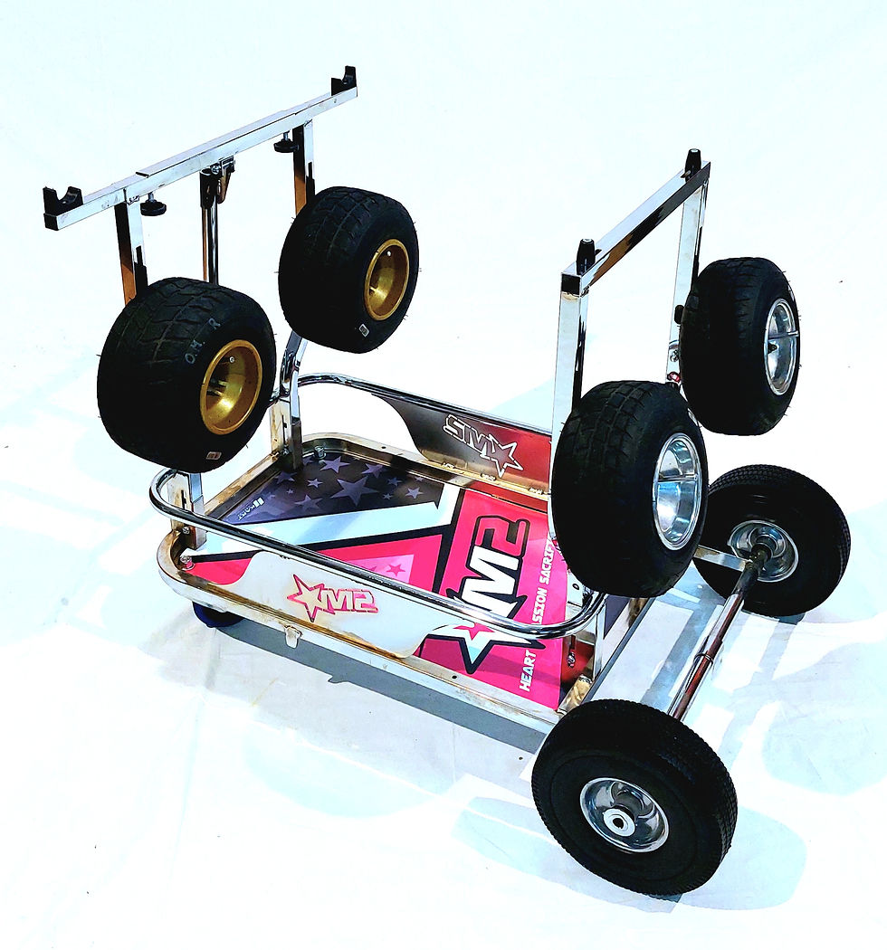 Miniatura: TP_PRO.CUSTOM