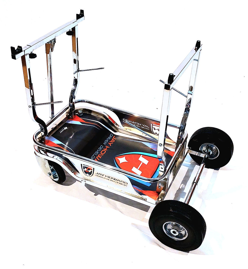 Miniatura: TPS_PRO.CUSTOM