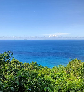 kurt view from hill to ocean lingho village 2WhatsApp Image 2025-07-03 at 6.57.50 PM.jpeg