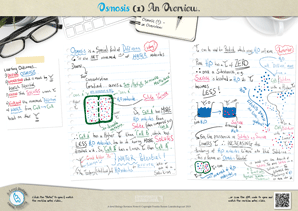 An Overview of Osmosis A3 PDF for A Level Biology
