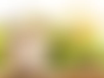 Investire: i 3 pilastri per scegliere bene.
