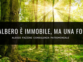 Un singolo albero è immobile, ma una foresta migra.