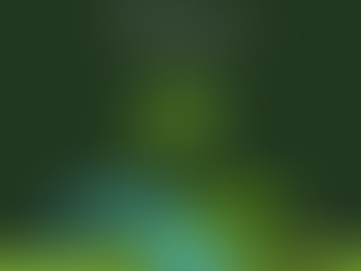 Investimenti E.S.G. e La Borsa...in poche parole 22 gennaio 2019