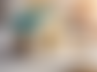 Investing in Safe Housing: Opportunities with Renascor Homes