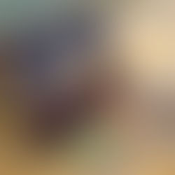 À la découverte de la cité des vents.