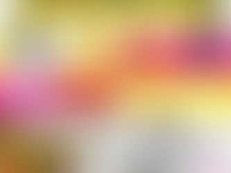 Grande Vente Vide-Dressing au Riad "La Maison du Vent" - 13 et 14 juillet