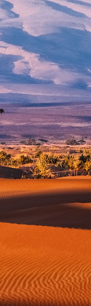 desert Marocain by Carokey.jpg