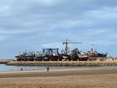 Port d'Essaouira : Croissance Significative des Débarquements de Pêche au Troisième Trimestre 2024