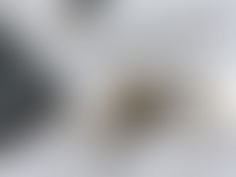 Assistance administrative immobilière