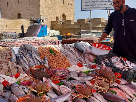 Essor des Débarquements de Pêche au Port d'Essaouira : Une Croissance Impressionnante de 132% à fin Mai