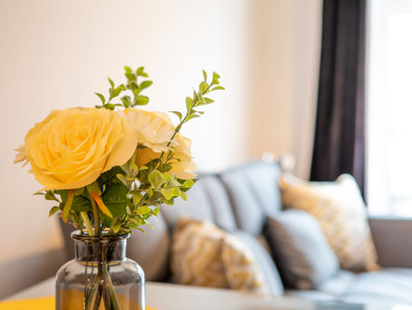 Is Serviced Accommodation and SASCO the right investment for you?