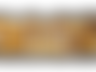 New Year, New Adventures: Blackpool Awaits in 2025!