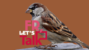 Episode 11: Faith Feels Funky Sometimes: Trusting God When Things Arenʼt Cute