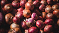 onion products