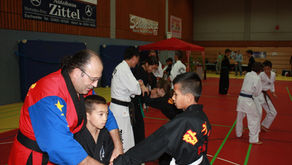 "Hangul Do" International Seminarin Germany
