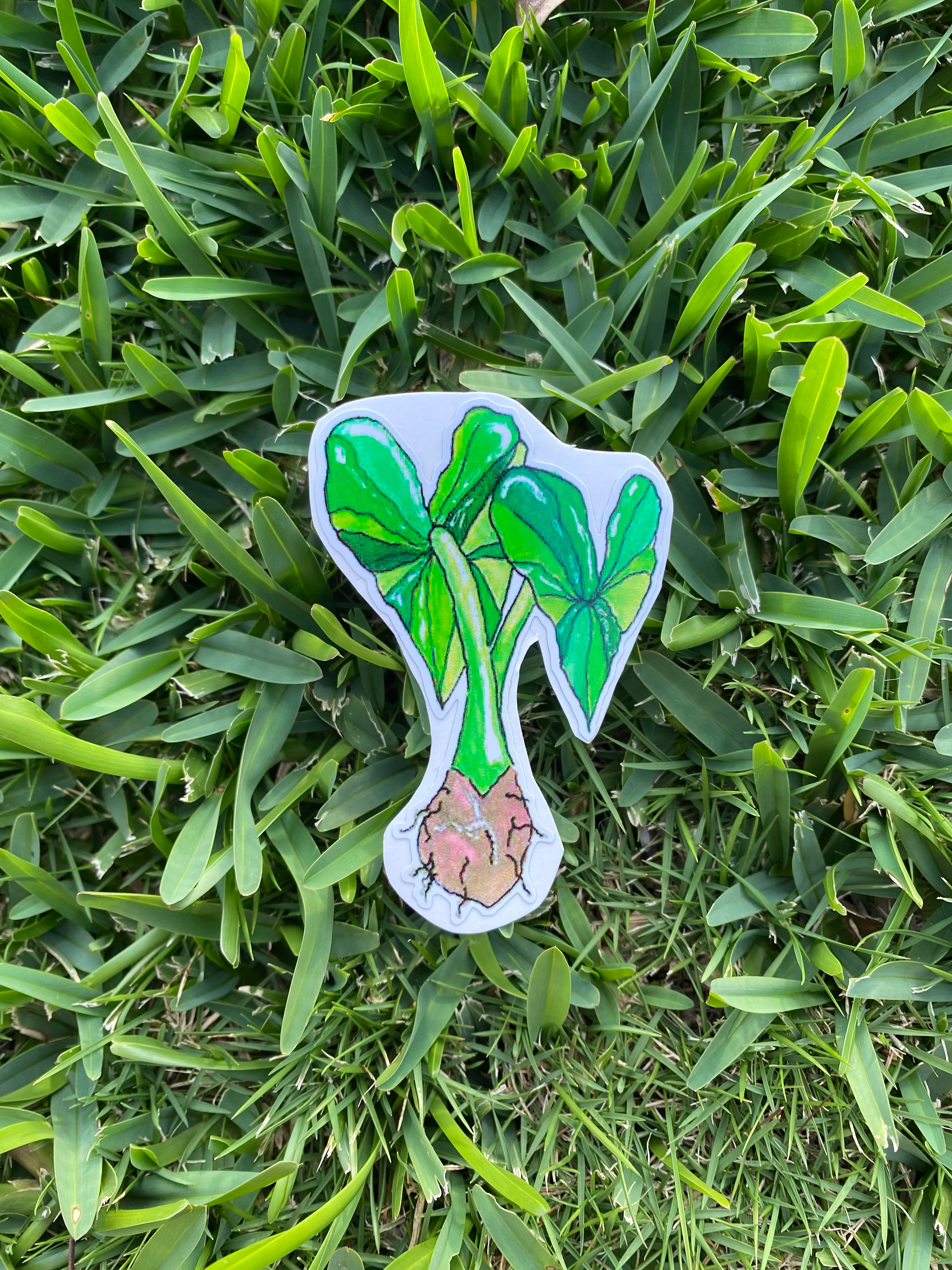 'Kalo' STICKER