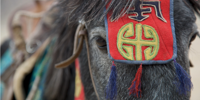 CU Horse.png