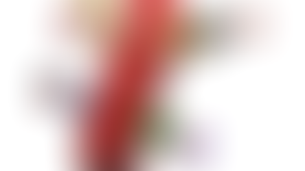 'Successful Ageing' in der Schweizer Armee im Fokus des Personalmagazins