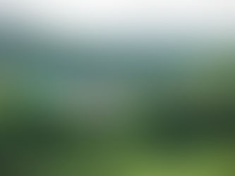 Mo–Bruk wraca z przytupem