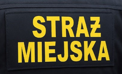 Straż miejska - strasz ich ...