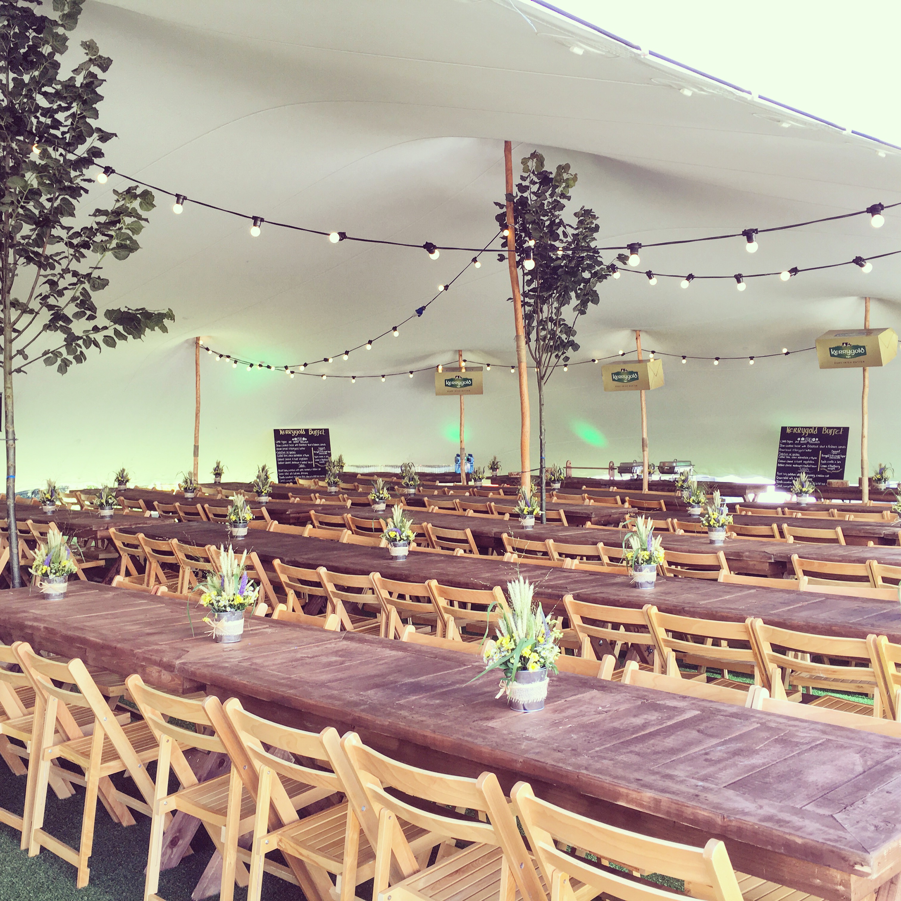 Kerrygold Park Launch