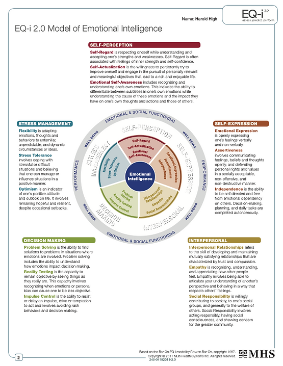 EQi Workplace Sample Client Report 1.png