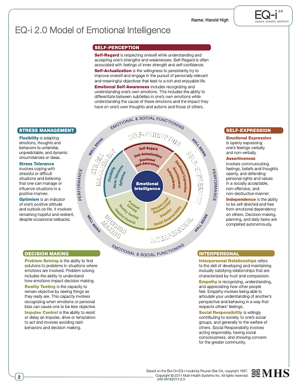 EQi Workplace Sample Client Report 1.png