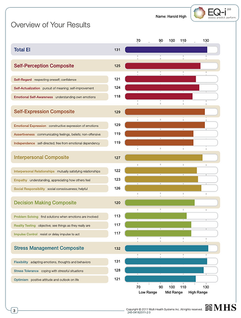 EQi Workplace Sample Client Report 2.png