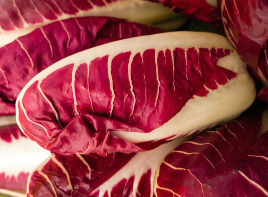 Radicchio Treviso - 1 pz