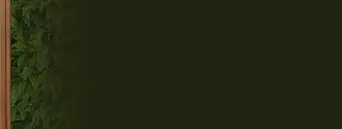 banner_secundario.webp