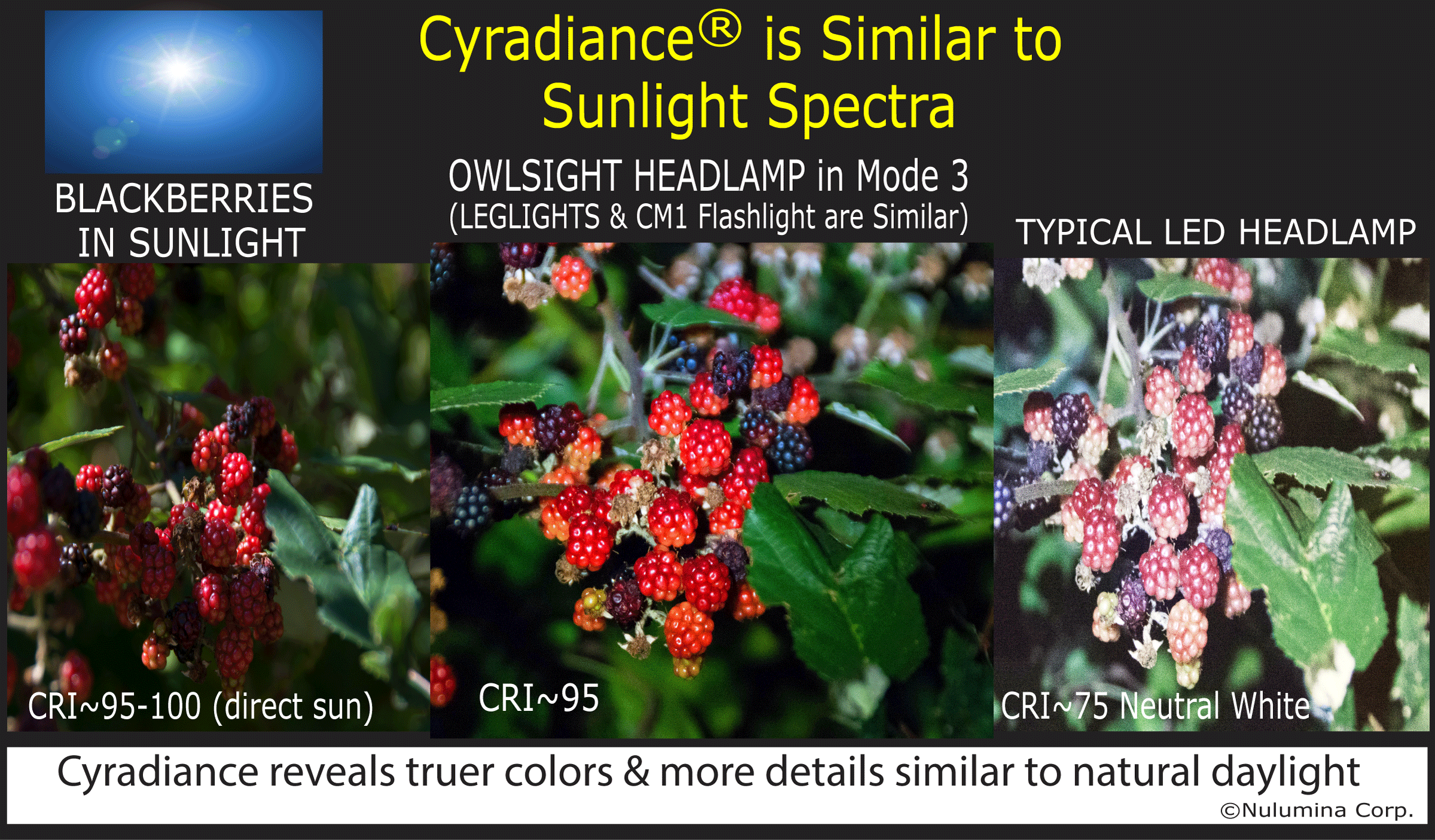 Comparison photos of CYRAD LED flashlight and headlight light, Cyradiance high CRI, and UV and red mesopic active filters