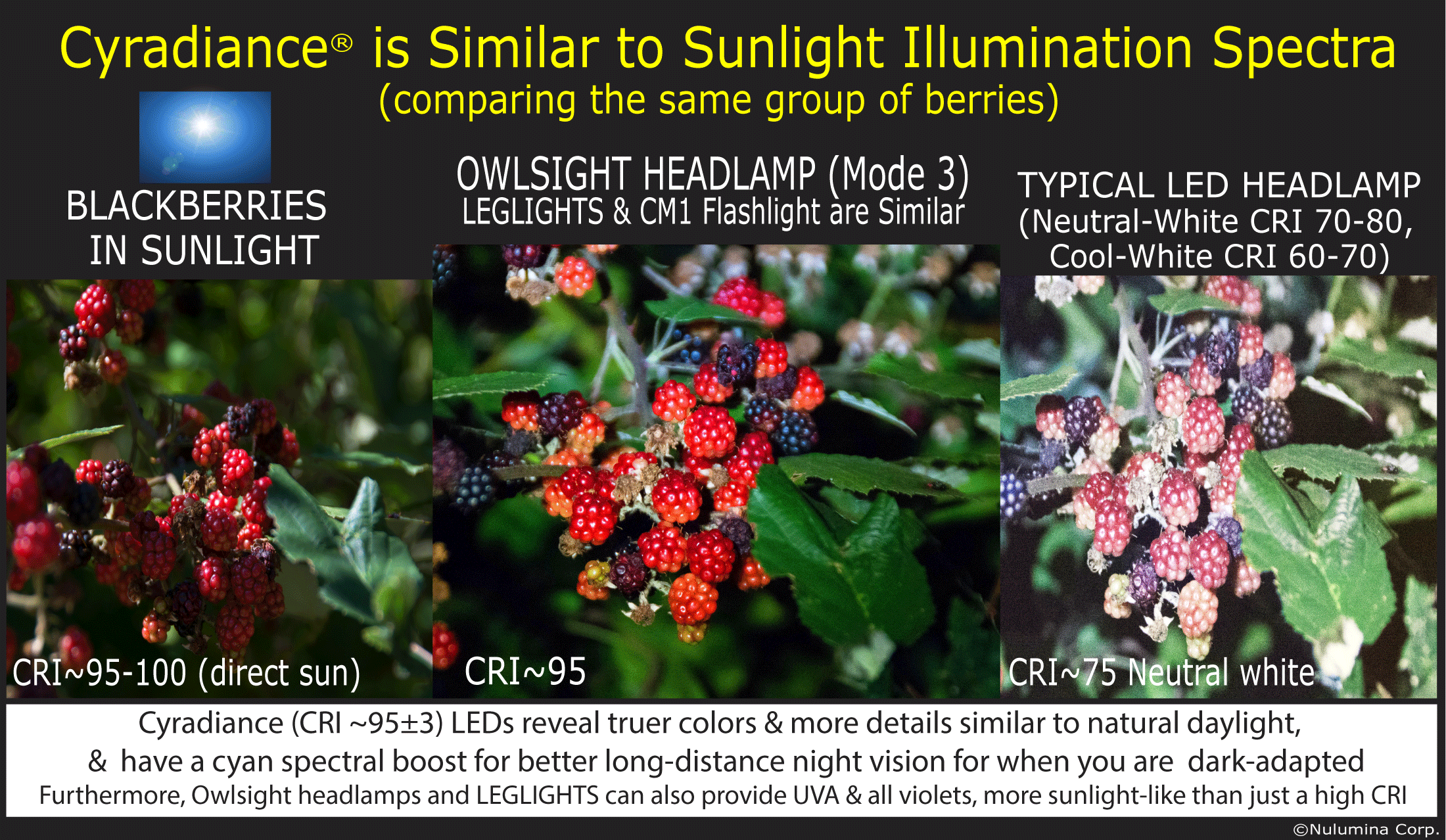 Comparisone photos of  LED light, Cyradiance high CRI, and UV and red mesopic active filters