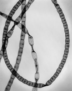 Alga-Freshwater, 1928