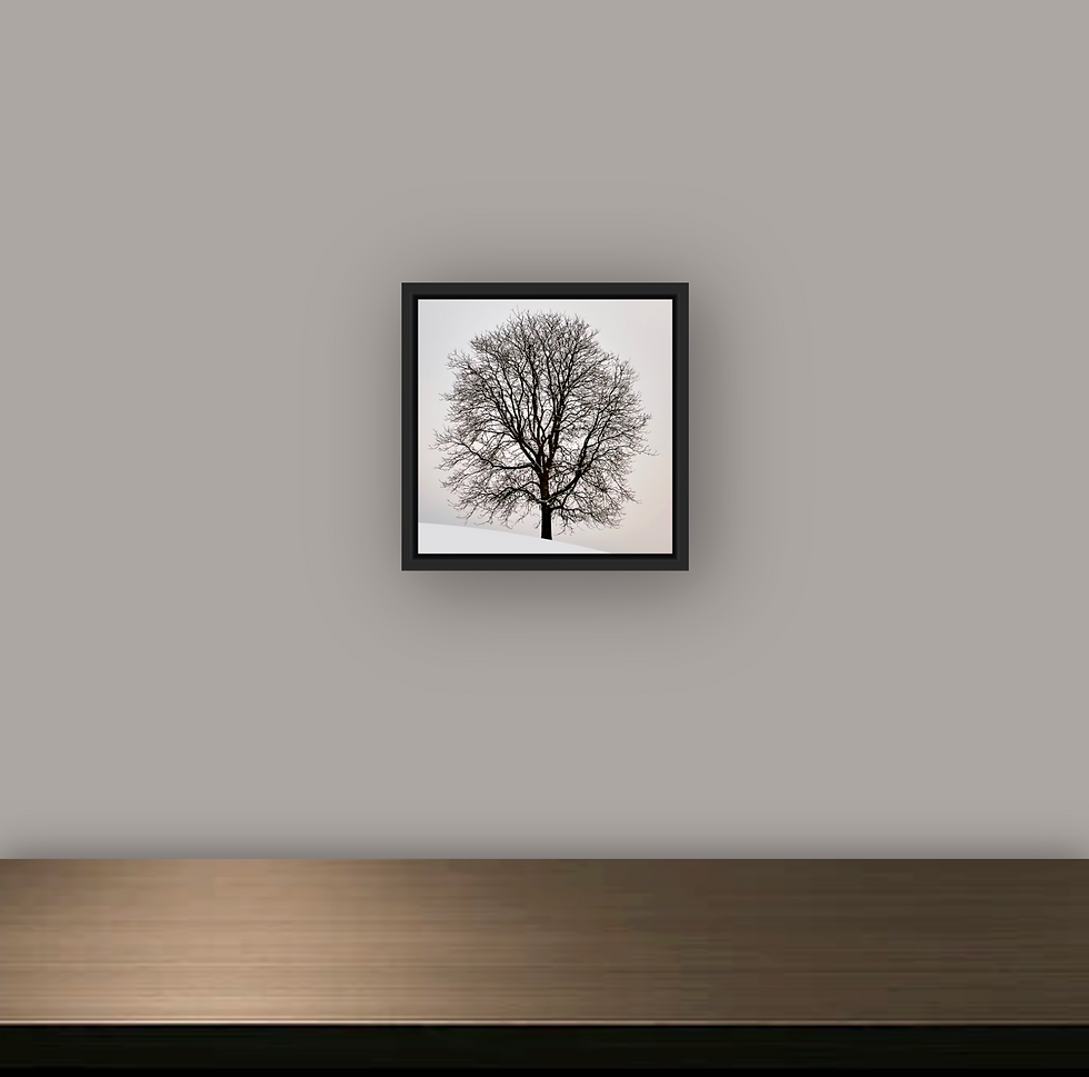 Miniaturbild: LONELY