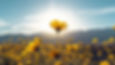 Yellow Flower.jpg