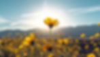 Yellow Flower.jpg