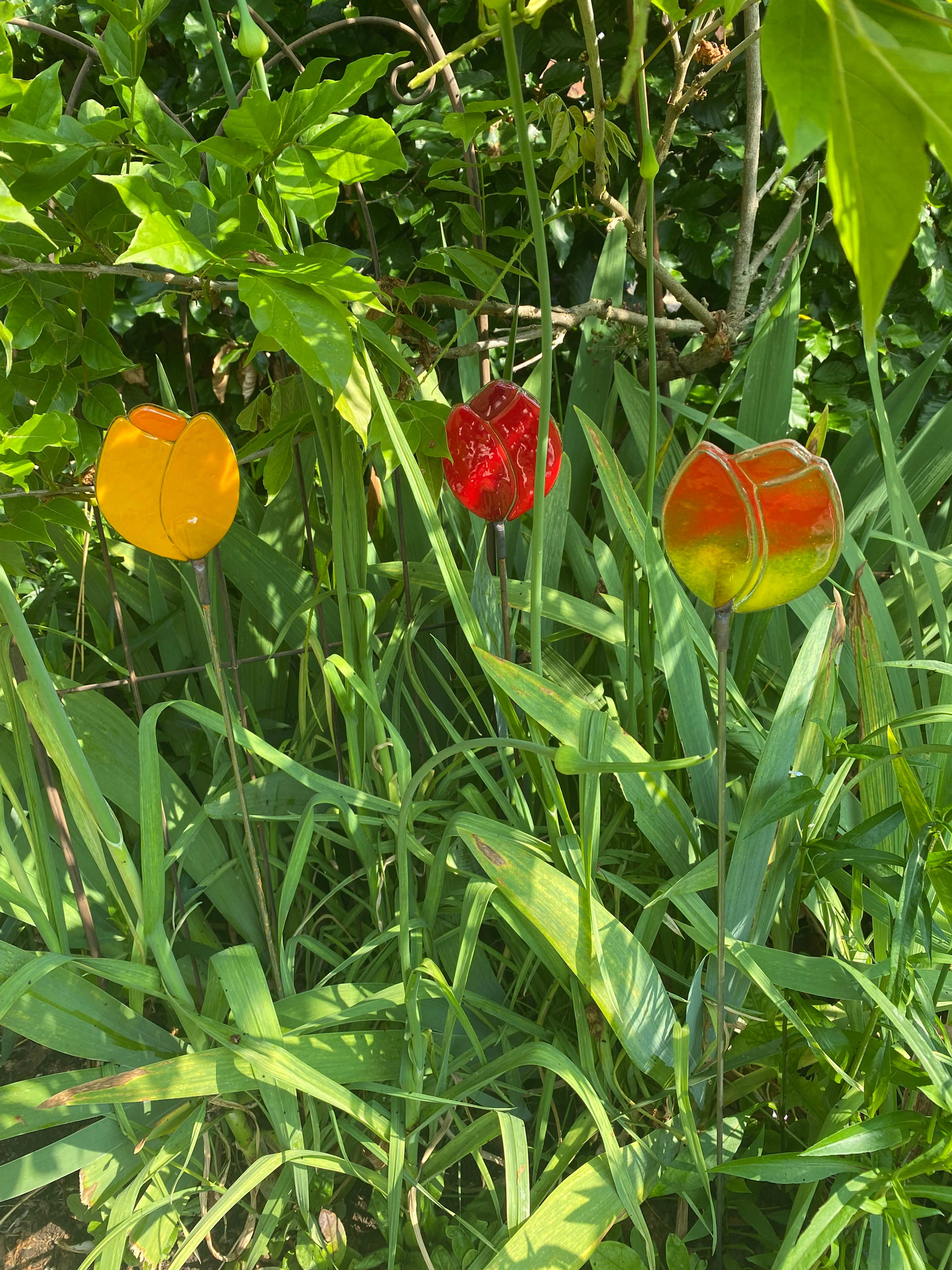 Fused Glass Tulips