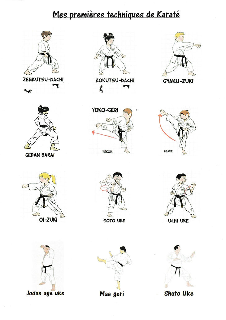 TECHNIQUES DE KARATE
