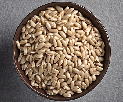 barley in a bowl with grey background.jp