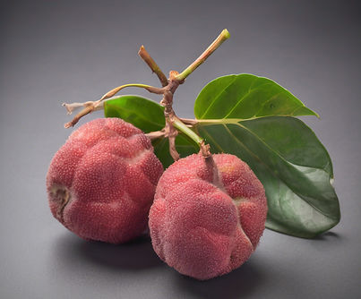 rambuttan fruit with grey background.jpg
