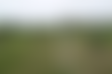 "YA SE PIENSA EN PLAZA"