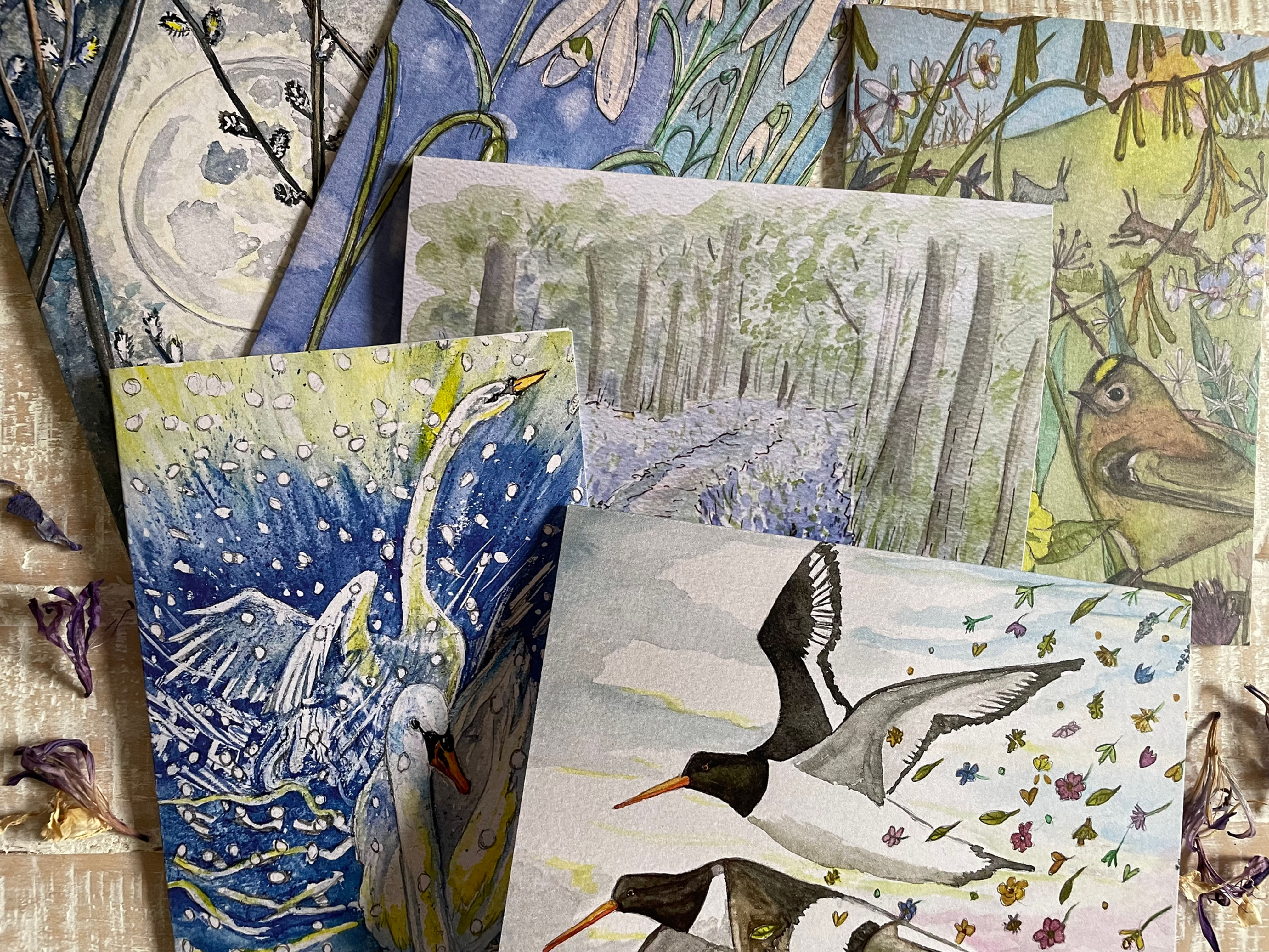 Set of 6 Imbolc/Springtime greeting cards