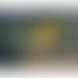 Still life oil painting of a silver ornate bowl holding bright yellow lemons with green leaves, set on a wooden surface with scattered walnut shells.