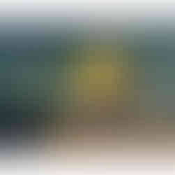 Still life oil painting of a silver ornate bowl holding bright yellow lemons with green leaves, set on a wooden surface with scattered walnut shells.