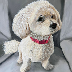 Realistic oil painting of a small fluffy white dog wearing a bright pink collar, standing on a grey sofa with detailed curly fur and soft natural shading.