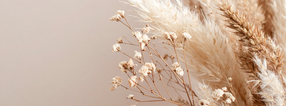 Sans titre (Couverture Facebook) (1).png