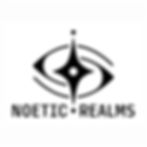 NoeticRealms_Logo_NoBox_Vertical_Black-01_edited.jpg
