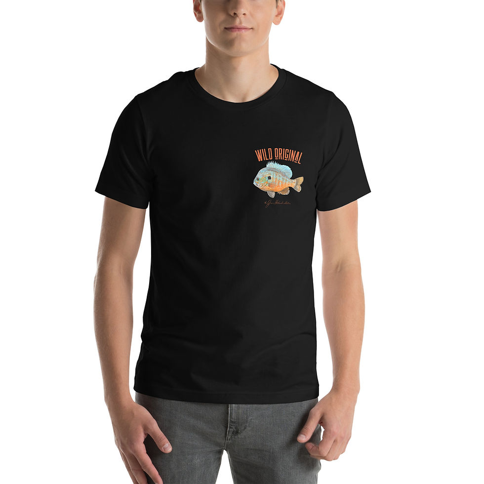 Thumbnail: Pumpkin Seed Bream Men's t-shirt
