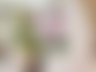 5月レッスンスケジュールのお知らせ