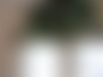 12月レッスンスケジュールのお知らせです